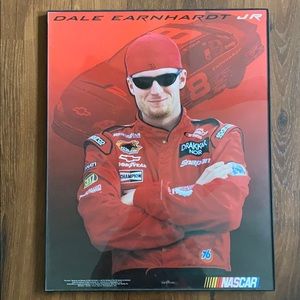 Dale Earnhardt Jr wall hanging